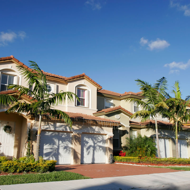 palm trees and houses